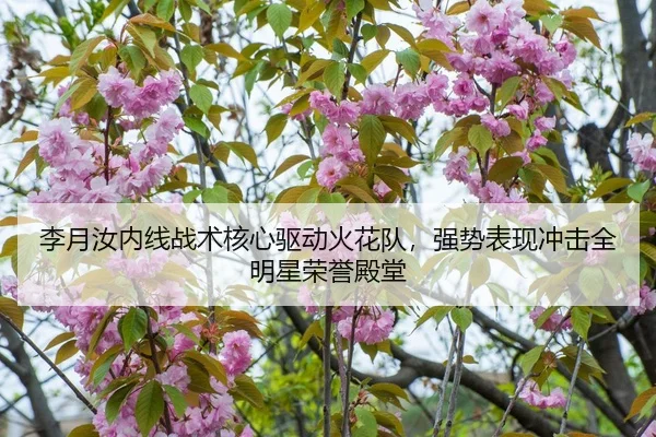 li-yue-ru-nei-xian-zhan-shu-he-xin-qu-dong-huo-hua-dui-qiang-shi-biao-xian-chong-ji-quan-ming-xing-rong-yu-dian-tang-2-824.jpg
