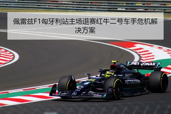 pei-lei-zi-xiong-ya-li-zhan-zhu-chang-tui-sai-hong-niu-er-hao-che-shou-wei-ji-jie-jue-fang-an-3-302.jpg
